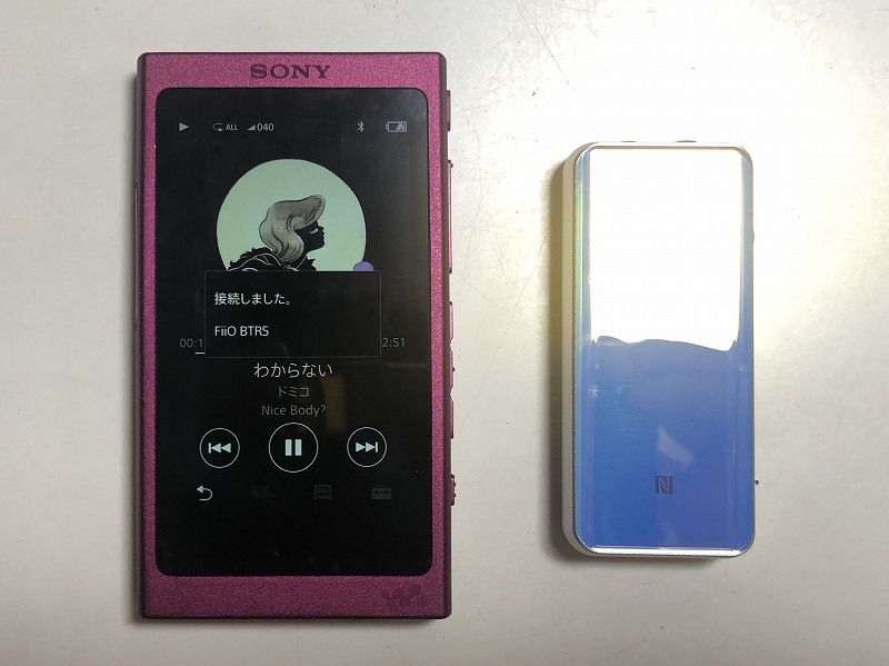 FiiO BTR5�ƃE�H�[�N�}��